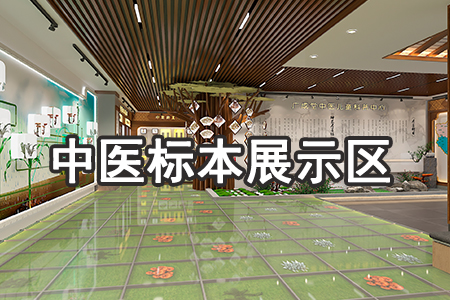 中医标本博物馆设计